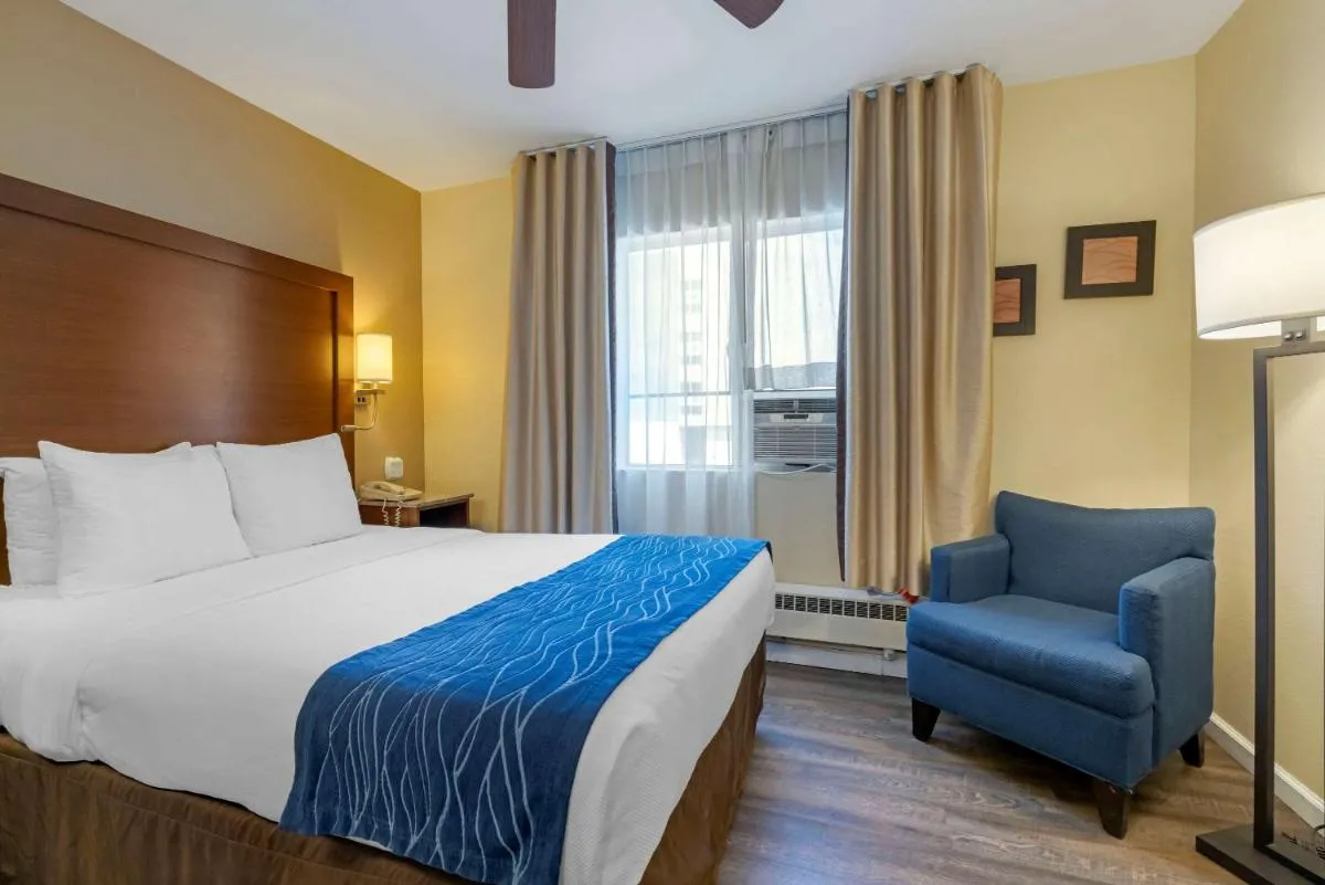 Image 1 of Comfort Inn Gaslamp Convention Center