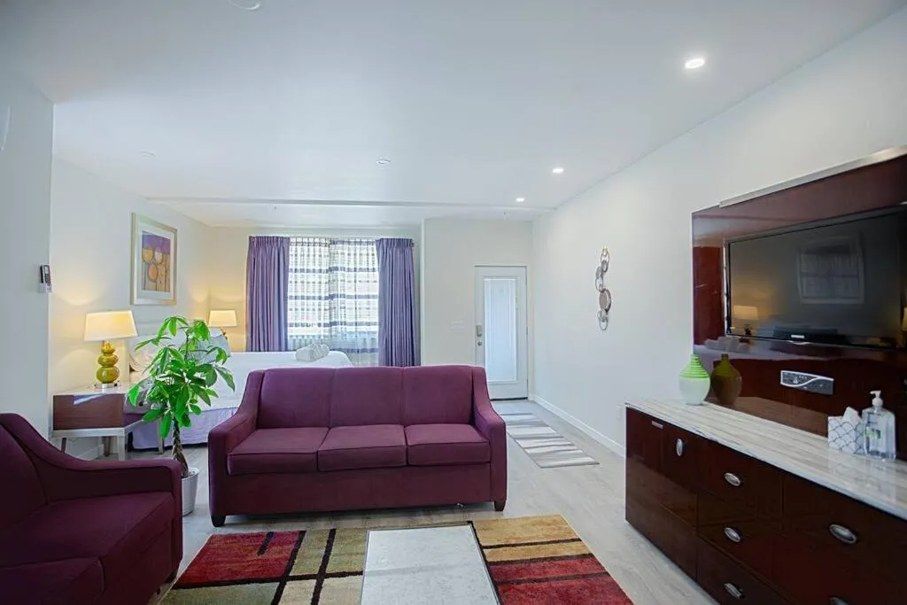Image 4 of Spacious 500 sqft Studio with Balboa Park View