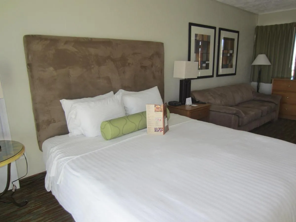 Image 6 of Surfer Beach Hotel