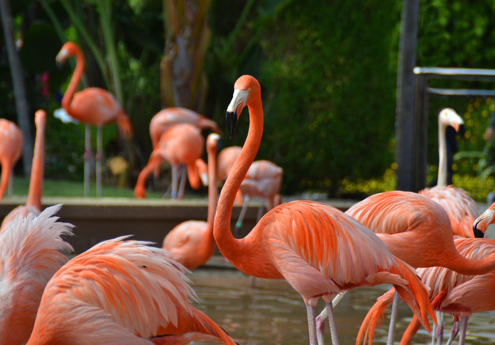 San Diego Zoo